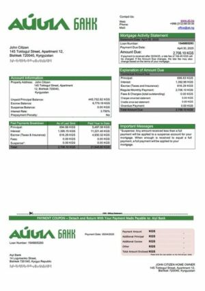 Kyrgyzstan Aiyl Bank mortgage statement Word and PDF template