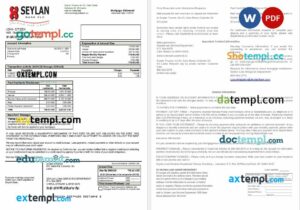Sri Lanka Seylan Bank mortgage statement in Word and PDF formats, 2 pages