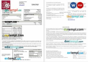 Syrian Cham Bank mortgage statement in Word and PDF formats
