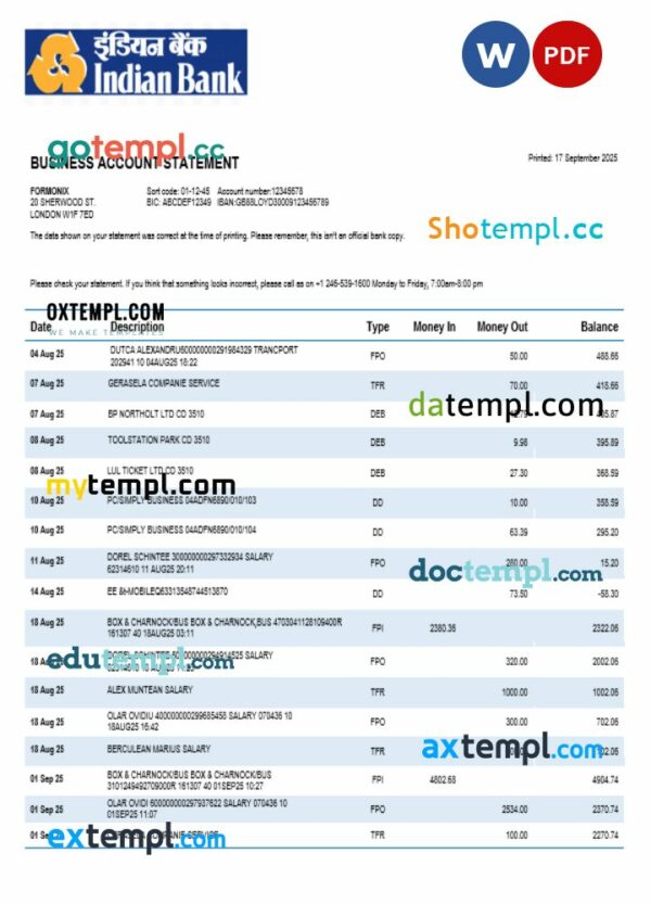 Bank of Indian organization checking account statement Word and PDF template
