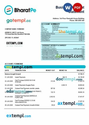 Bharatpe organization checking account statement Word and PDF template