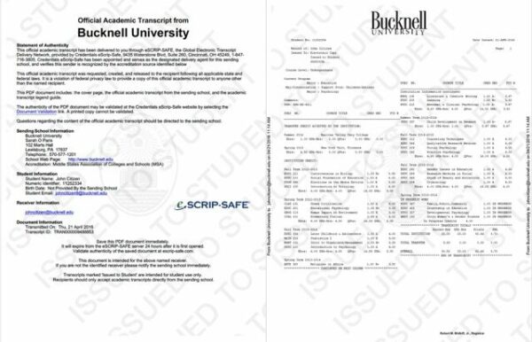 Bucknell University official transcript Word and PDF template, 2 pages