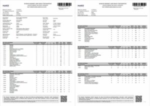Burdur Mehmet Akif Ersoy University transcript Word and PDF template, 3 pages