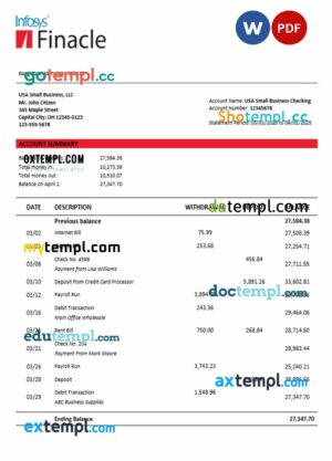 Finacle business firm statement Word and PDF format