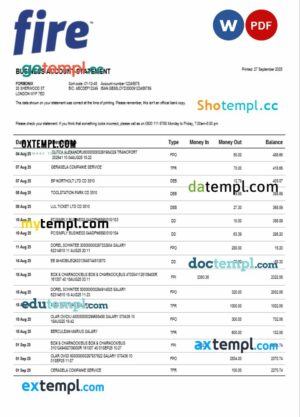 Fire Financial Services Limited enterprise statement Word and PDF format