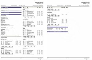 Immaculata University official transcript Word and PDF template, 2 pages