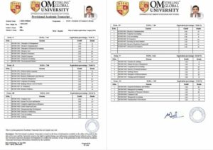 India OM Sterling Global University provisional academic transcript Word and PDF template, 2 pages