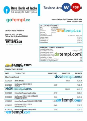 India State Bank of India business bank company statement Word and PDF format