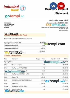 Induslnd organization checking account statement Word and PDF format