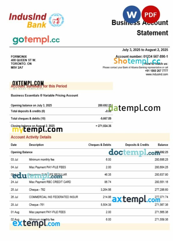 Induslnd organization checking account statement Word and PDF format