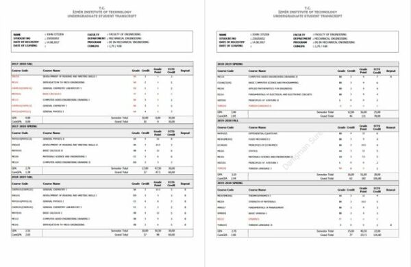 Izmir Institute of Technology undergraduate student transcript Word and PDF template, 2 pages