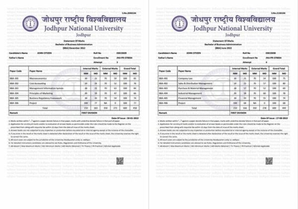 Jodhpur National University statement of marks Word and PDF template, 6 pages - Image 2