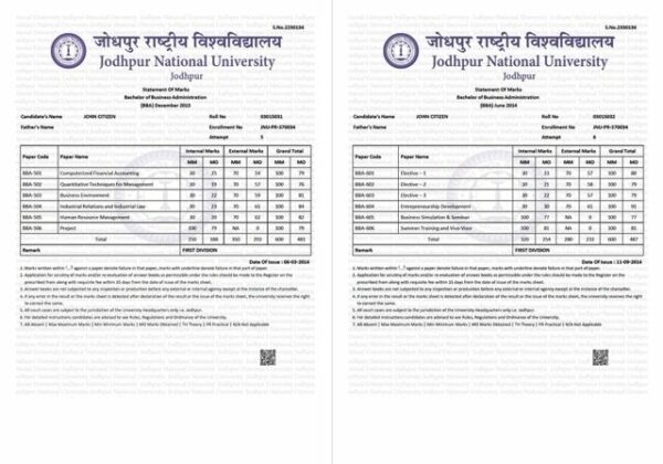 Jodhpur National University statement of marks Word and PDF template, 6 pages - Image 3