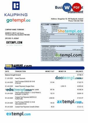 Kaupthing business firm account bank statement Word and PDF format