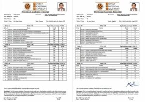 Lovely Professional University provisional academic transcript Word and PDF template, 2 pages