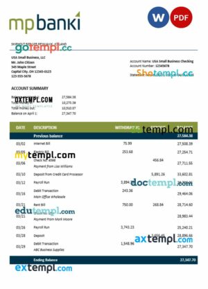 MP firm account statement Word and PDF template