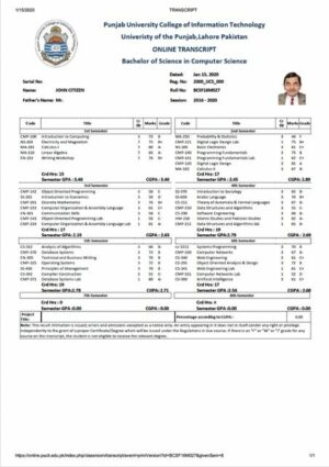 Pakistan Punjab University College of Information Technology online transcript Word and PDF template