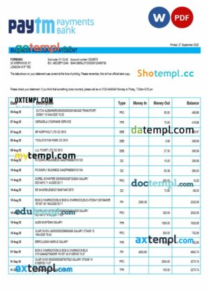 PayTM Payments business company account statement Word and PDF format