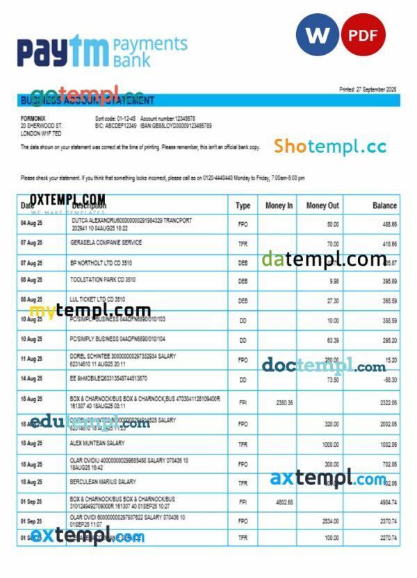PayTM Payments business company account statement Word and PDF format