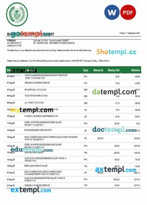 Rafidain firm account statement Word and PDF template