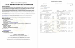 Texas A&M University - Commerce official academic transcript Word and PDF template, 2 pages