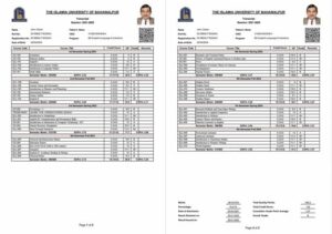 The Islamia University of Bahawalpur transcript Word and PDF template, 2 pages