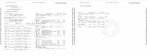 The University of North Carolina at Wilmington official academic transcript Word and PDF template, 3 pages