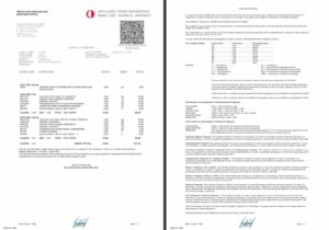 Turkey Middle East Technical University academic transcript Word and PDF template, 2 pages