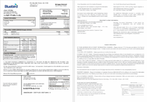 USA Bluebird bank mortgage statement in Word and PDF formats