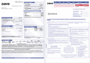 USA Dave bank mortgage statement in Word and PDF formats, 3 pages