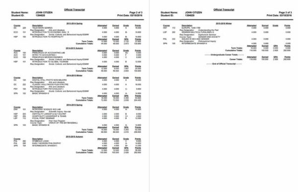 USA DePaul University official academic transcript Word and PDF template, 4 page - Image 2