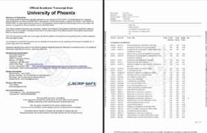 USA University of Phoenix official academic transcript Word and PDF template, 3 pages
