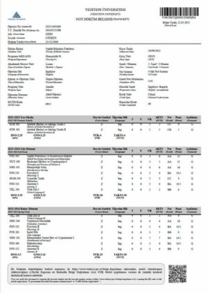 Yeditepe University transcript Word and PDF template