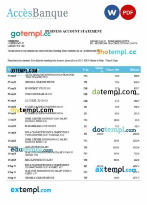 Access firm account statement Word and PDF template