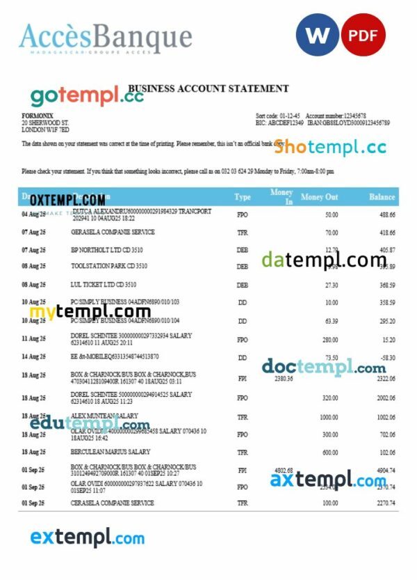 Access firm account statement Word and PDF template