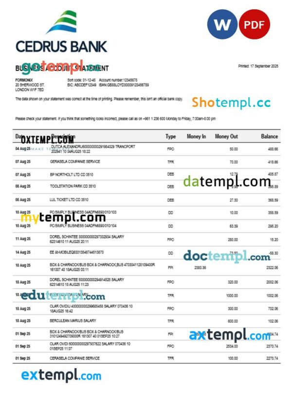 Cedrus Bank business firm statement Word and PDF format