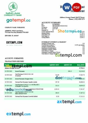 Chinguitty firm account statement Word and PDF template