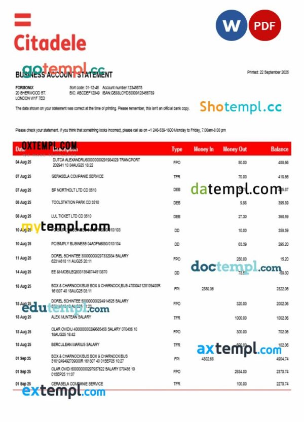 Citadele enterprise account statement Word and PDF template