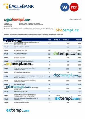 Eagle company checking account statement Word and PDF template