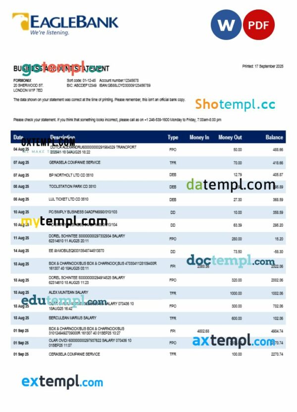 Eagle company checking account statement Word and PDF template