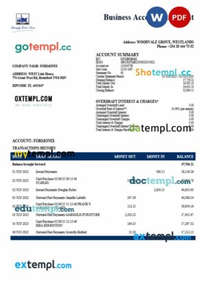 Kenyan ABC organization checking account statement Word and PDF format