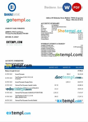 OJSC Bakai organization checking account statement Word and PDF template