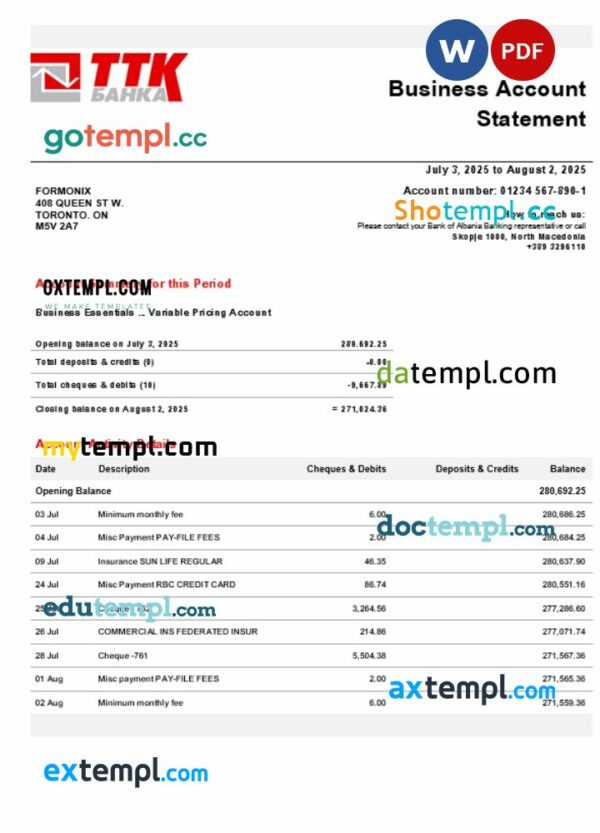 TTK business account statement Word and PDF template