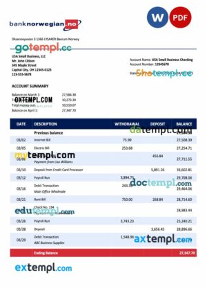Norwegian Bank Norwegian AS organization statement Word and PDF template