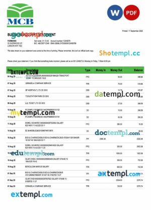 Pakistan MCB business checking account statement Word and PDF template