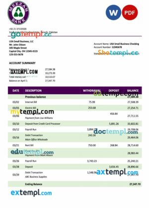 Pakistan Meezan Bank organization statement Word and PDF template