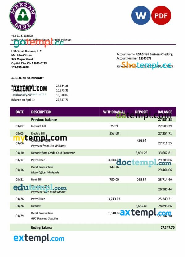 Pakistan Meezan Bank organization statement Word and PDF template