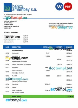 Paraguay Banco Amambay organization statement Word and PDF template