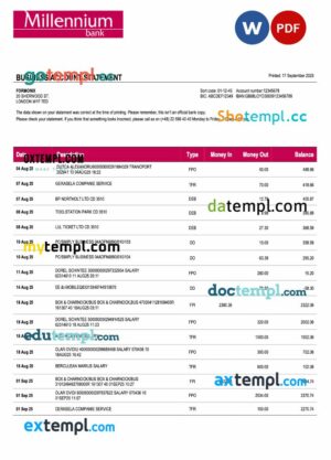 Poland Millennium business firm statement Word and PDF format