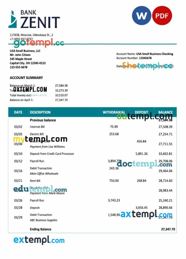 Russia Zenit company checking account statement Word and PDF template